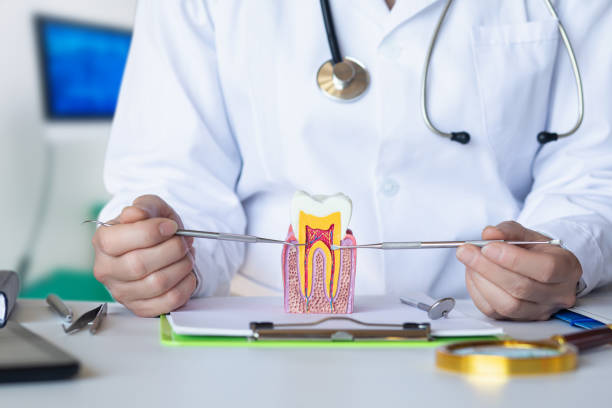 Best Emergency Root Canal Treatment in High Point, NC